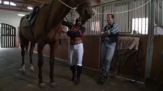 Slut fuck in stable